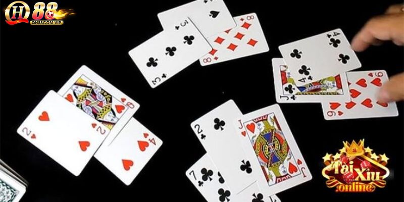 Giới thiệu bài cào